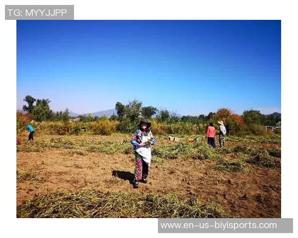 笨笨熊足球鞋带你体验畅快奔跑的快乐与激情 笨笨熊足球鞋带你体验畅快奔跑的快乐与激情